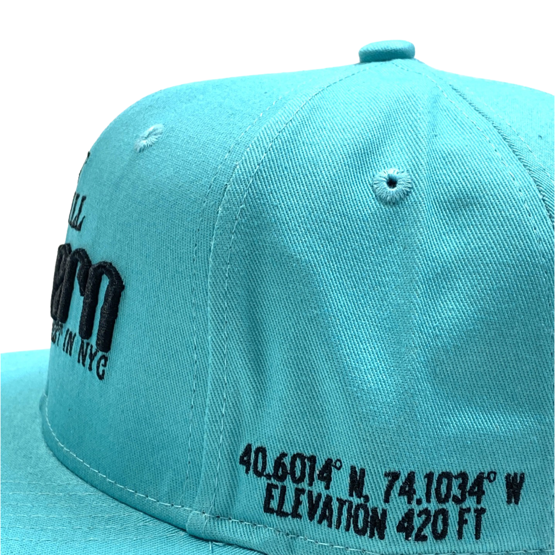 Highest In NYC - Teal Snapback